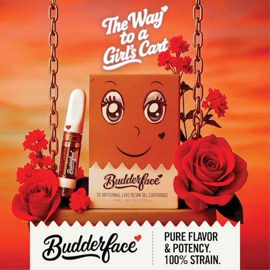Budderface Snowblower - Live Resin Vape