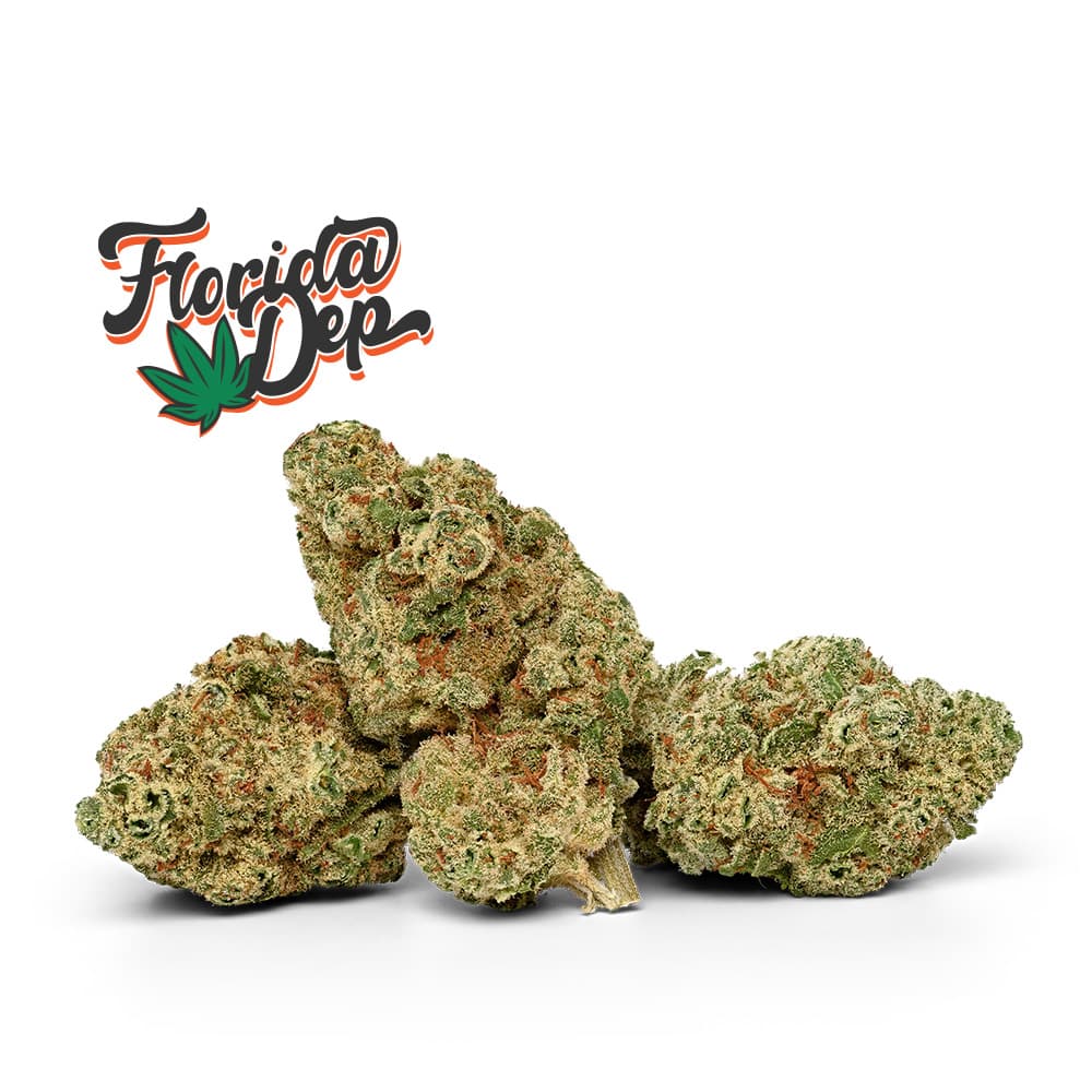Florida Dep Hindu Rootbeer - Flower - 3.5g