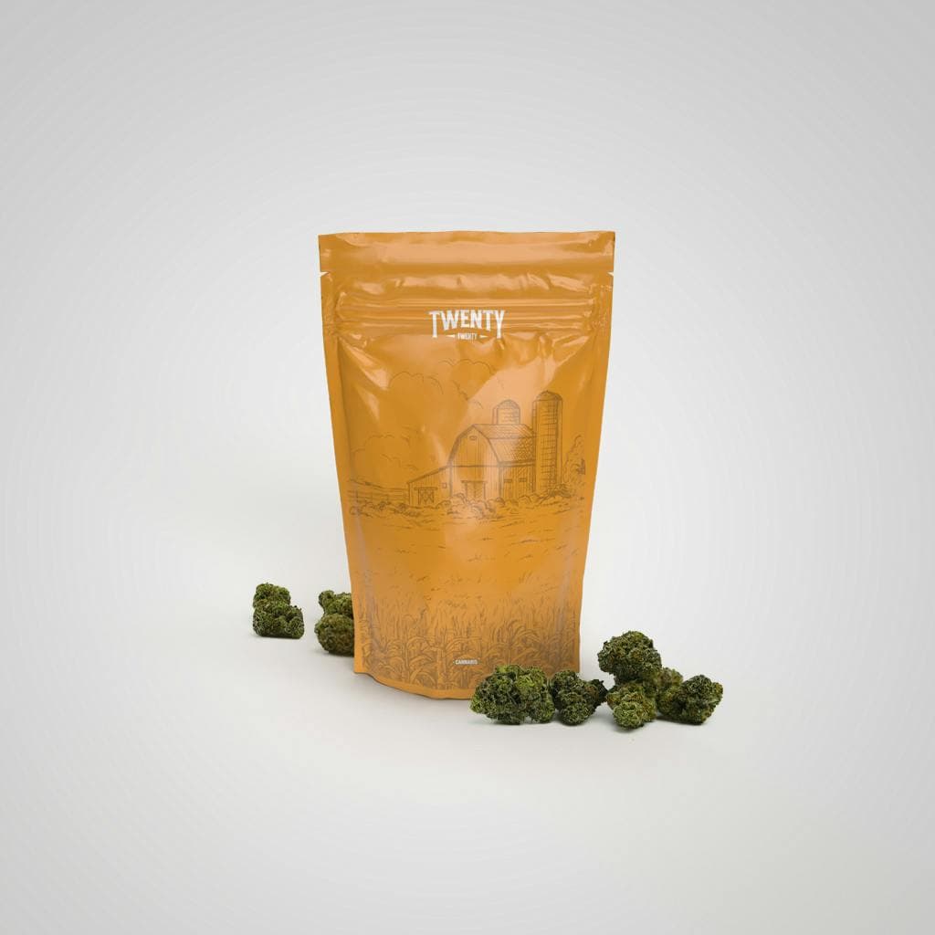 NGW - Twenty Twenty Popcorn Hash Burger | 28g