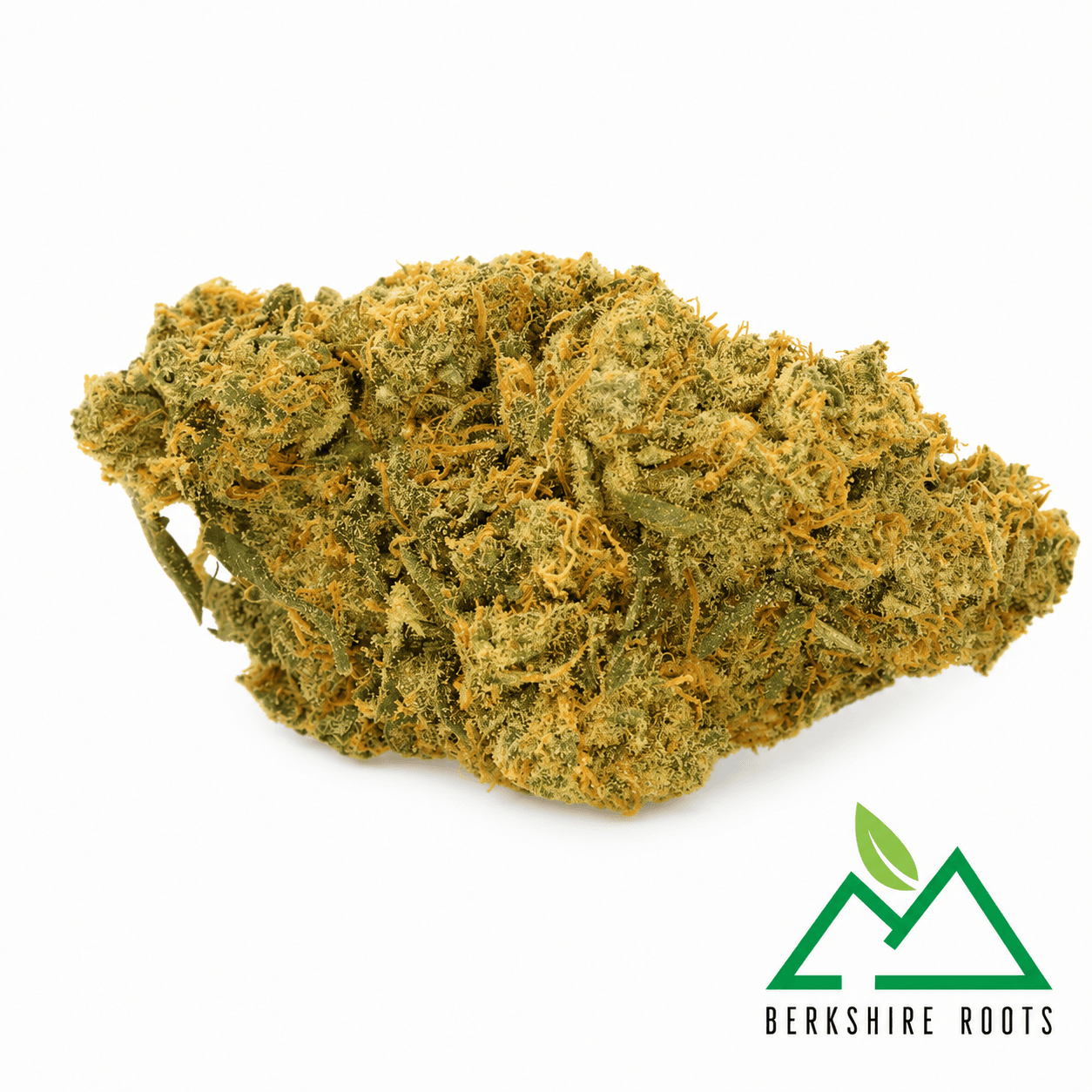 Berkshire Roots GH Cheese | 3.5g
