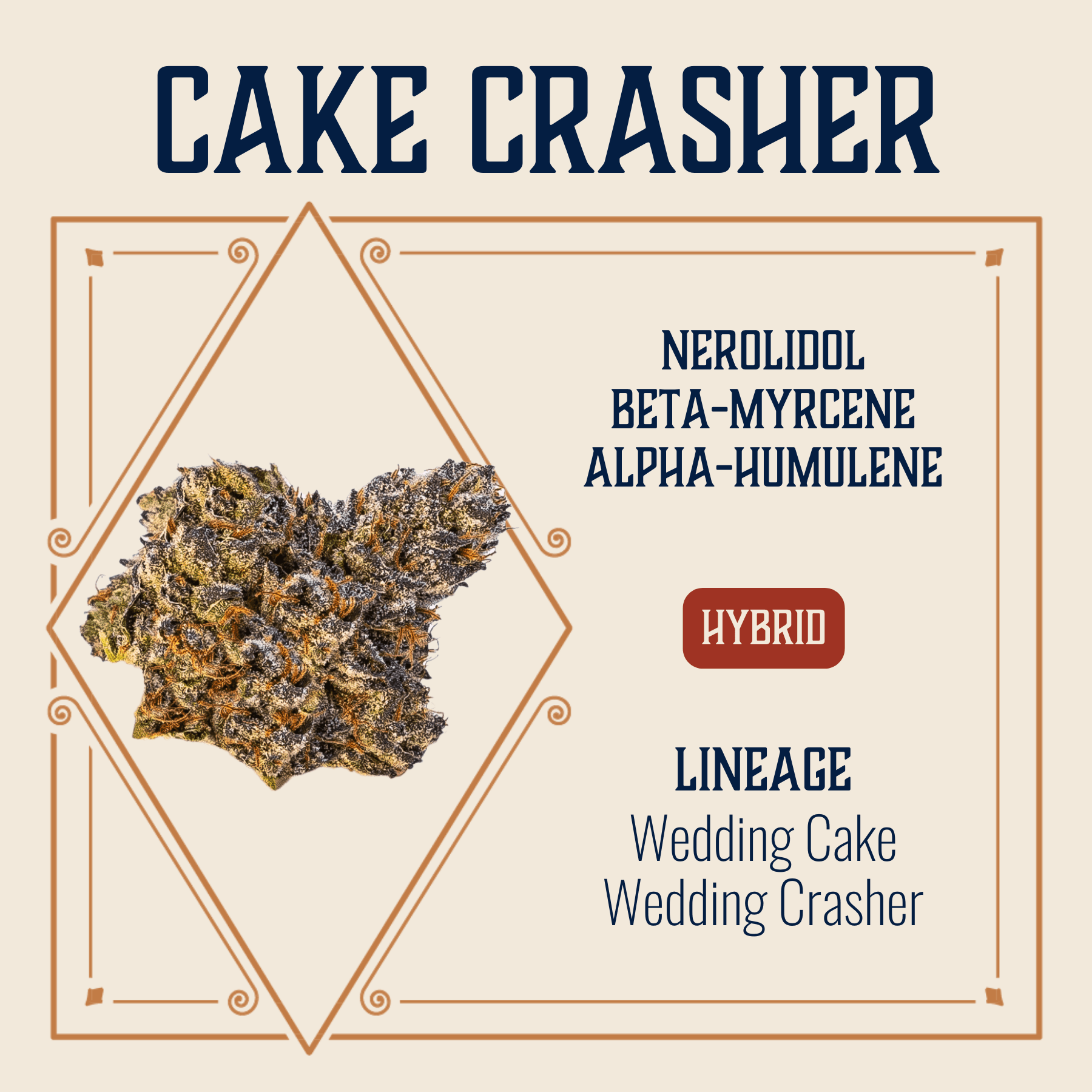 Elevate Missouri Cake Crasher