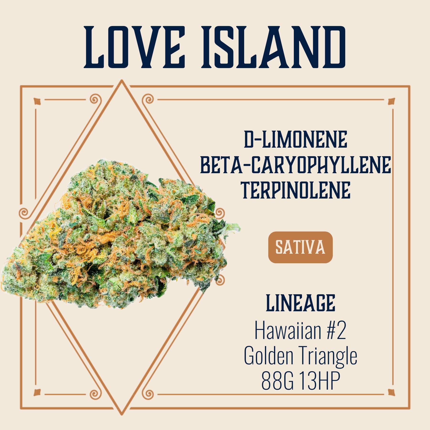 Elevate Missouri Love Island