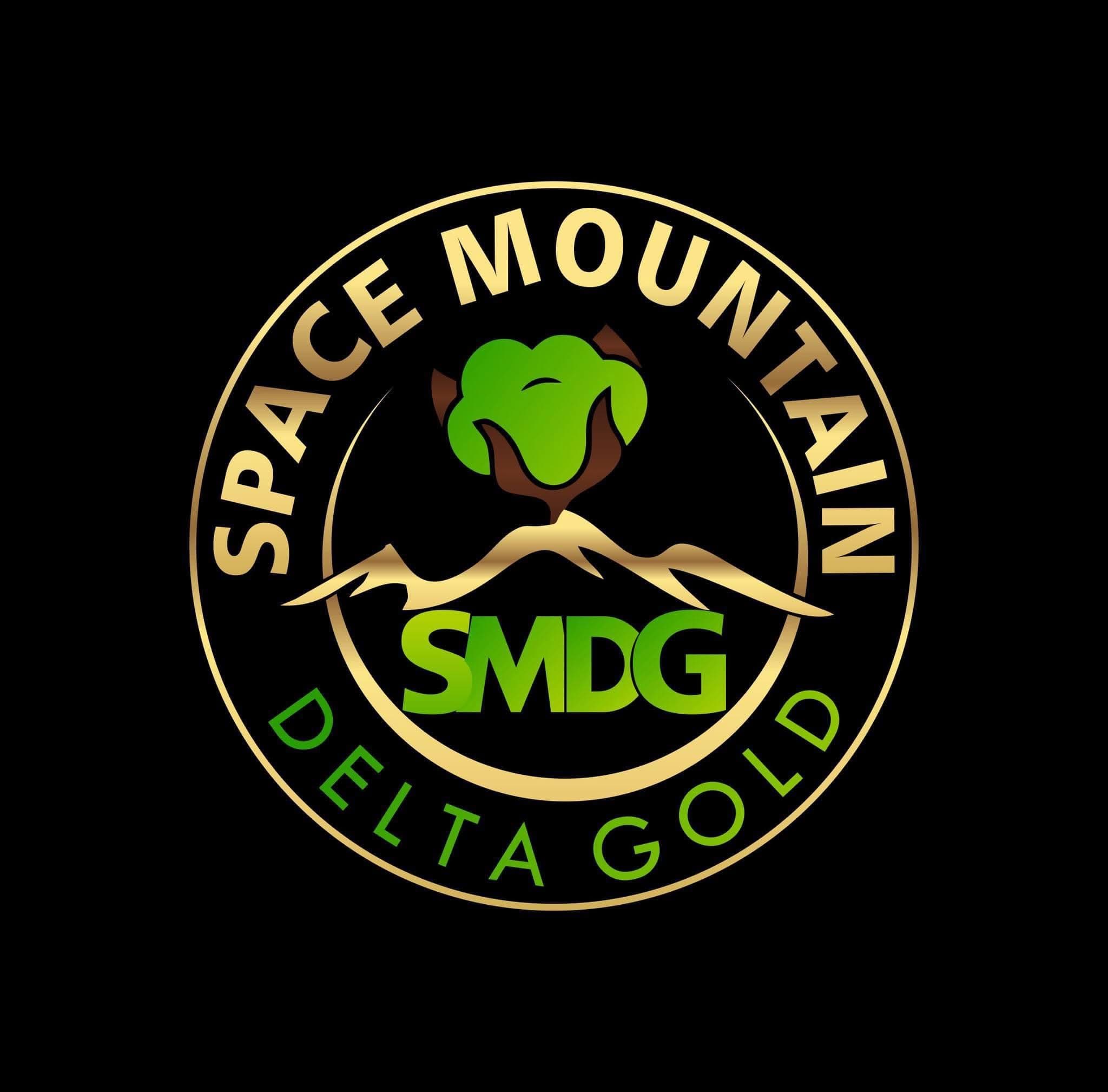 Space Mountain Purple Valley - Flower 7g