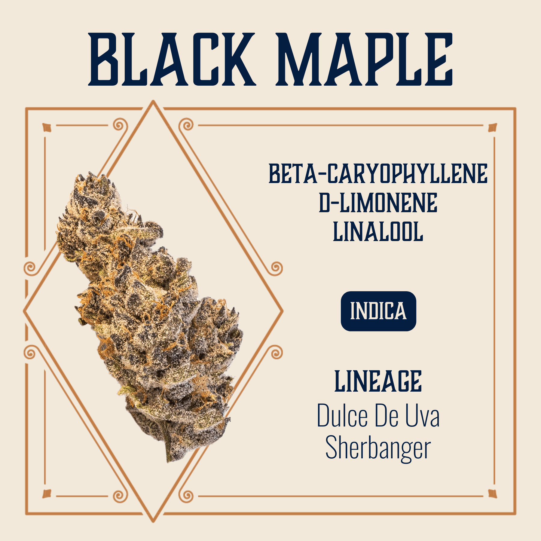 Elevate Missouri Black Maple 3.5g