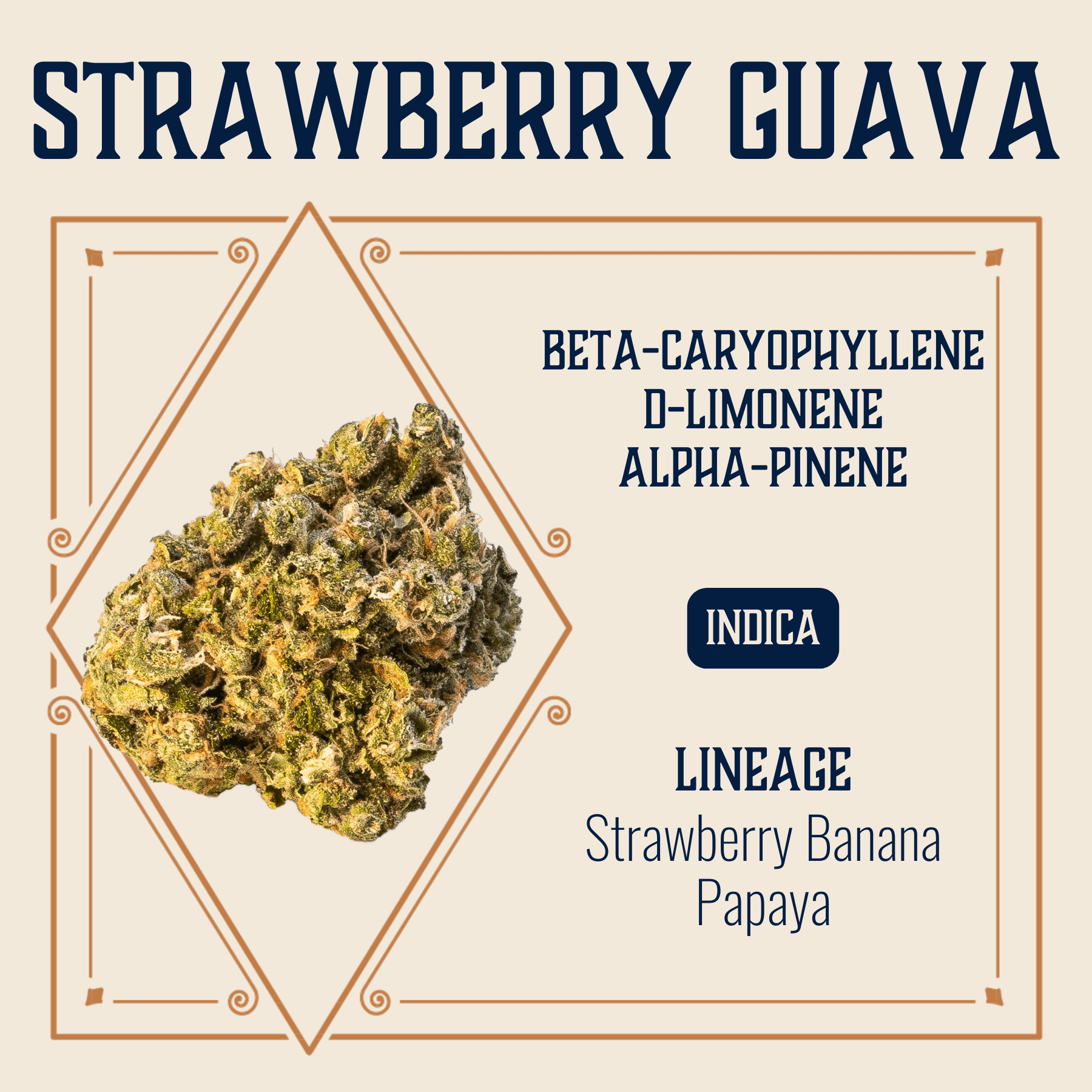 Elevate Missouri Strawberry Guava 3.5g