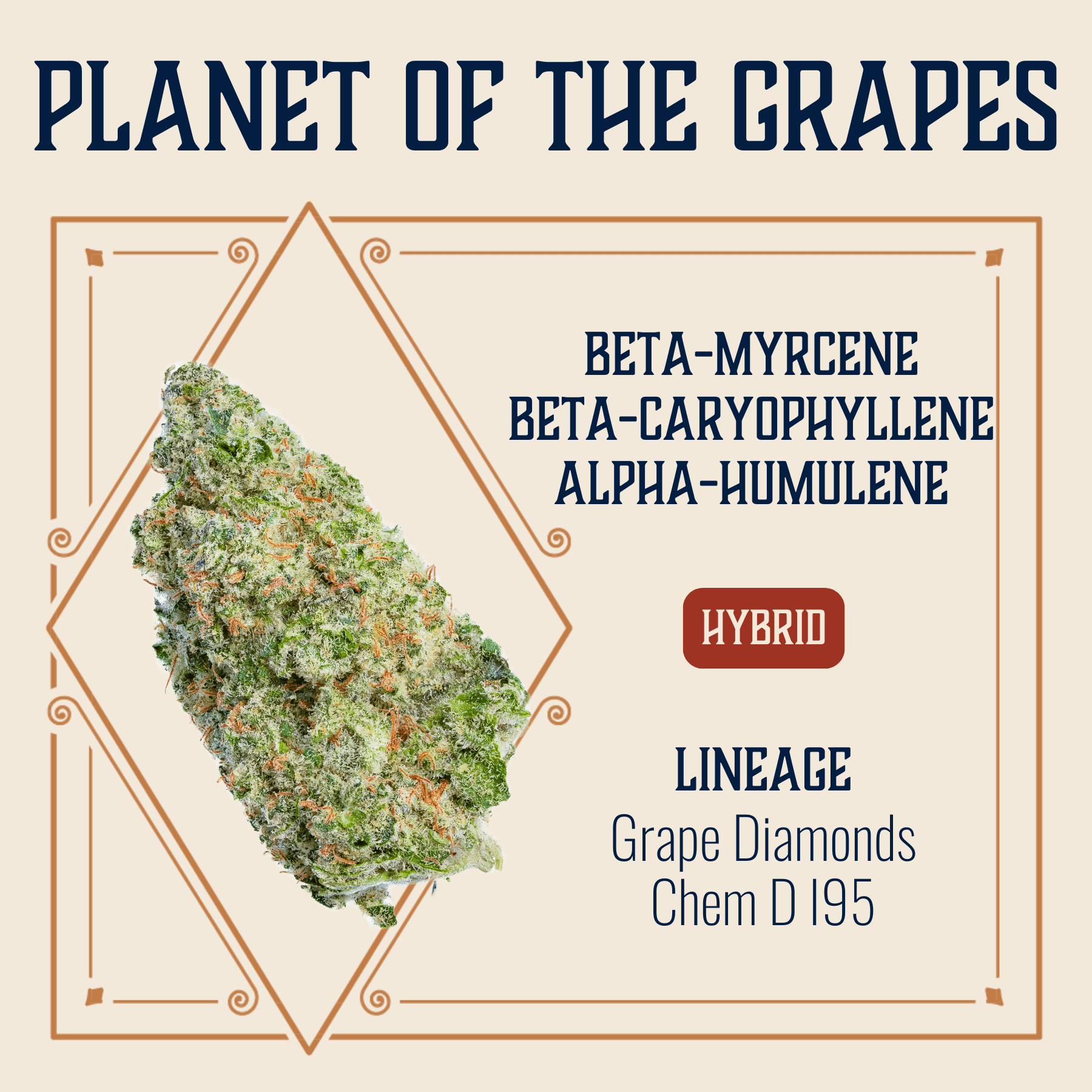 Elevate Missouri Planet of the Grapes 3.5g