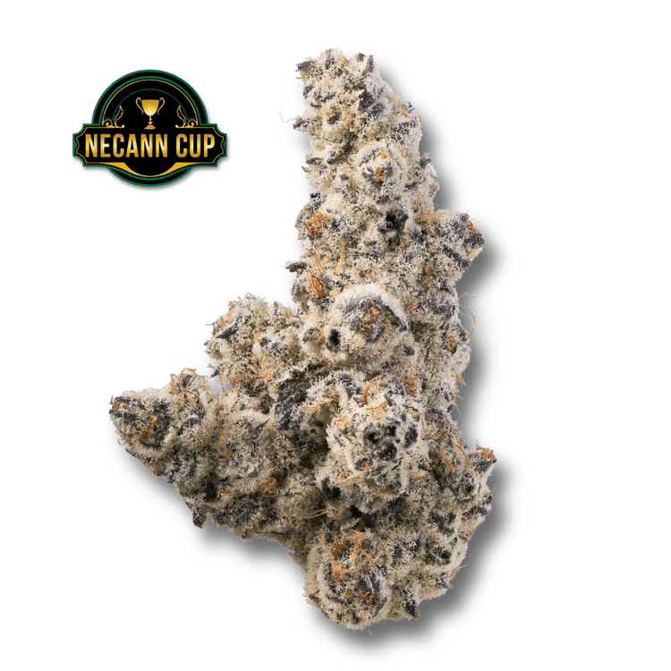 Bostica Drip Concentrates