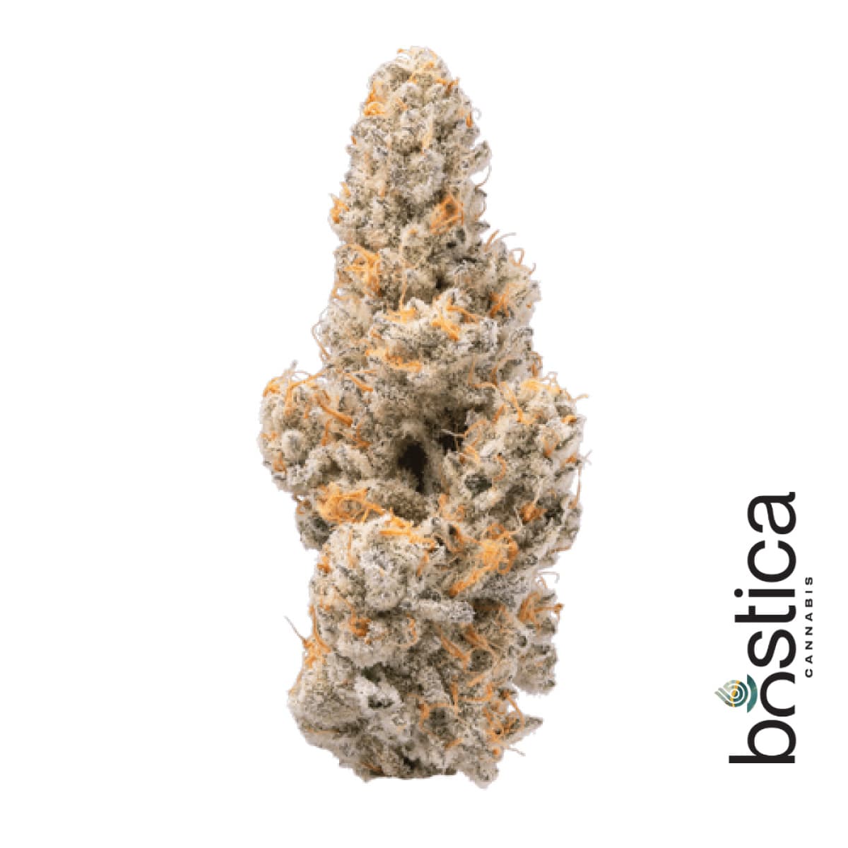 Bostica Purple Milk