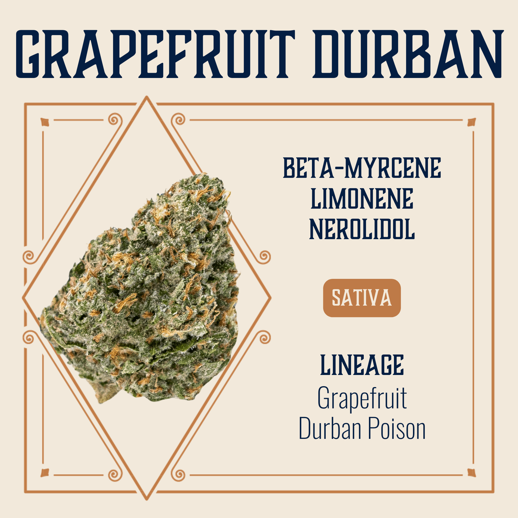 Elevate Missouri Grapefruit Durban 3.5g