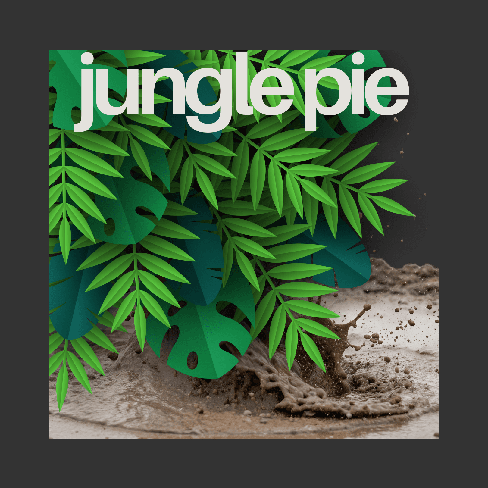 C4 (Carroll County Cannabis Co.) Jungle Pie