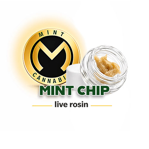 Mint Platinum Cold Cure Live Rosin - MNT Chip