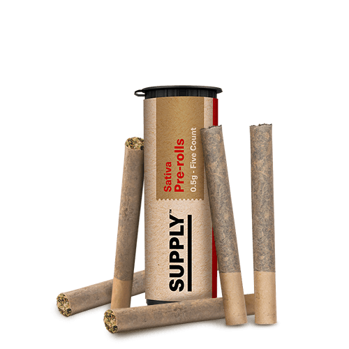 Gastro Glaze Pre-Rolls Multipack