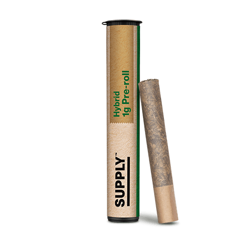 LCG x Z Animal Pre-Roll