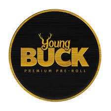 Black Jack Young Buck Pre-Roll  5pk