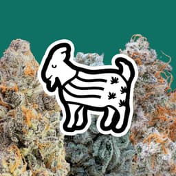 The Laughing Goat logo