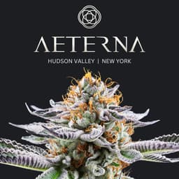 Aeterna logo