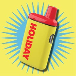 Holiday logo