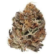 Afghani