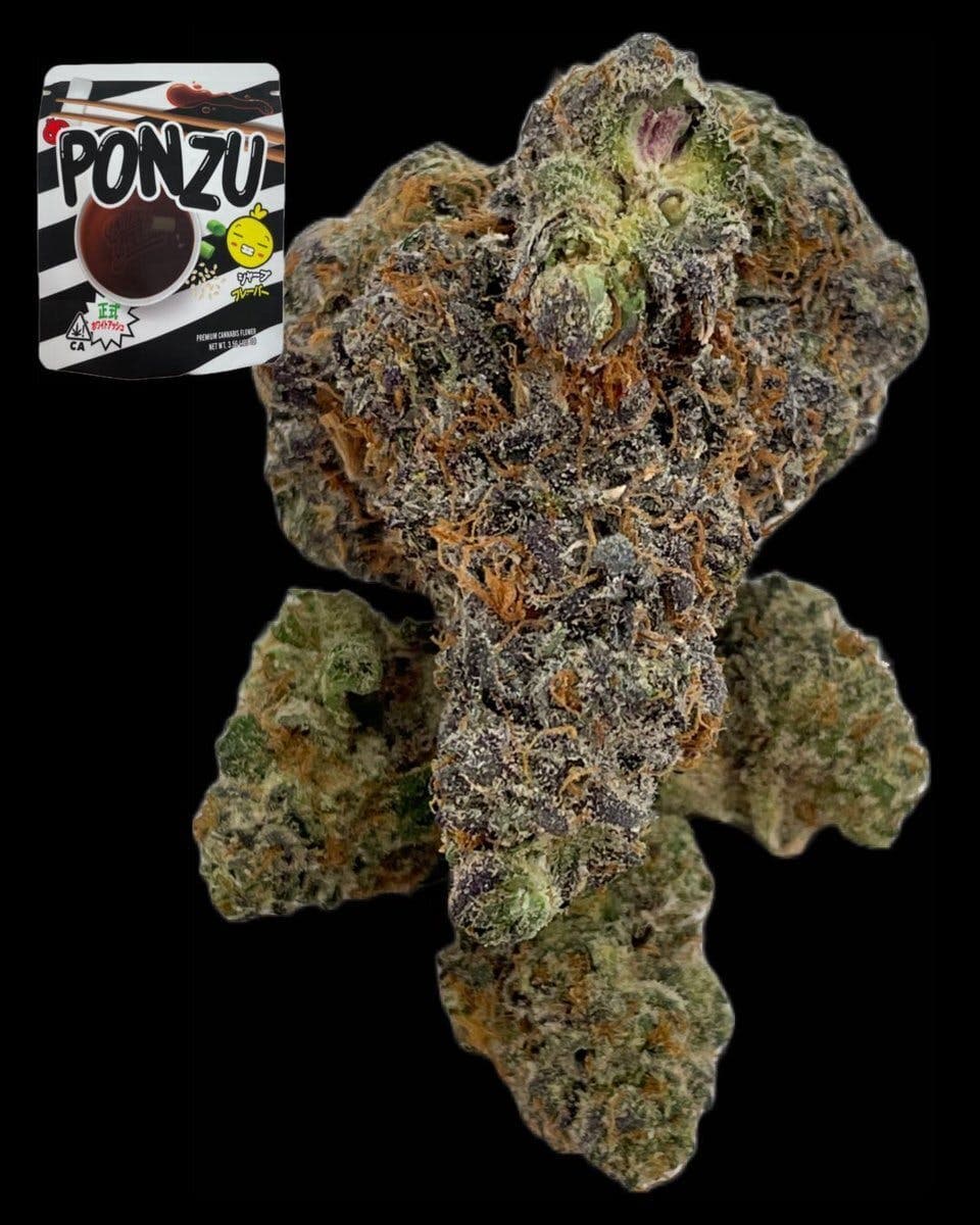 Ponzu