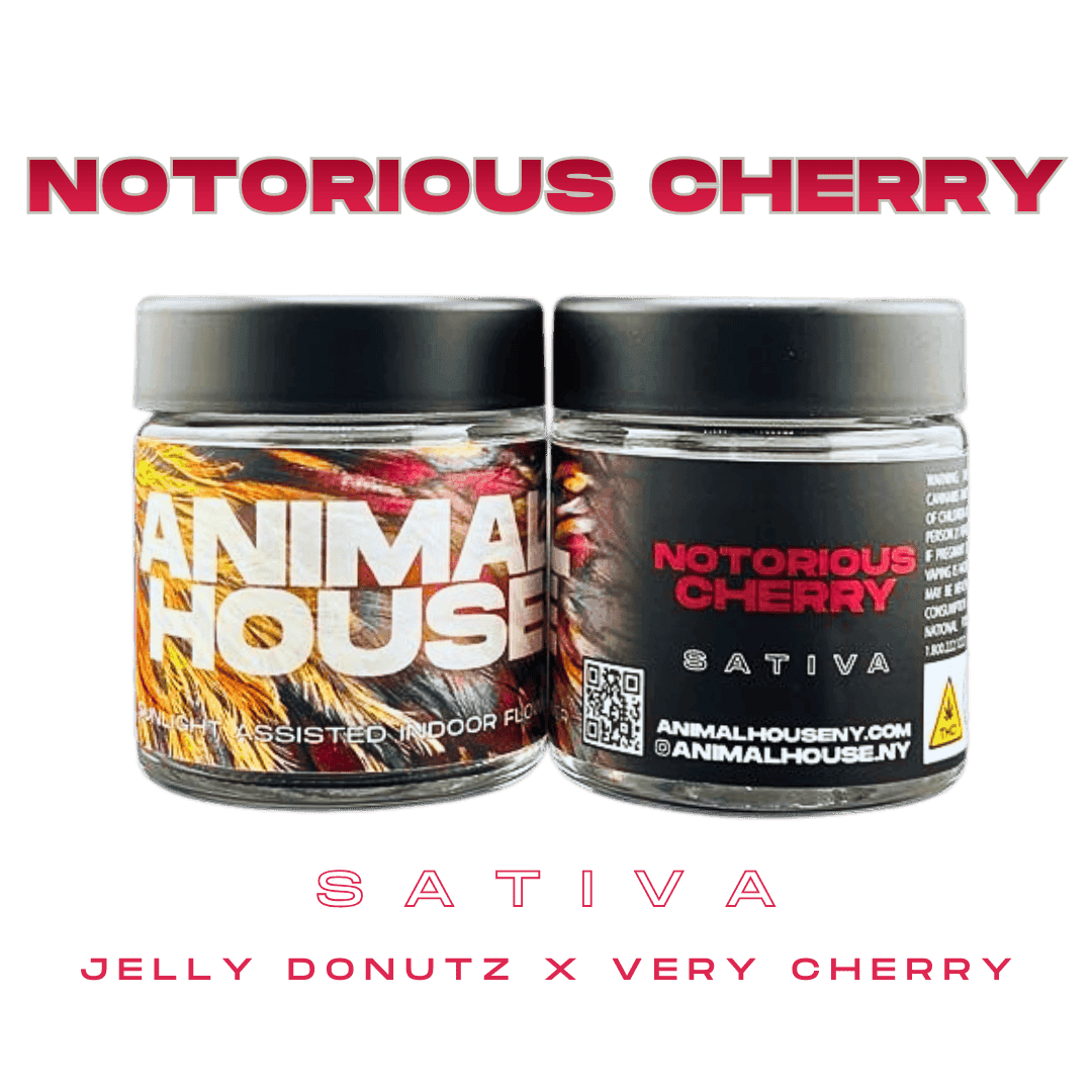 Notorious Cherry