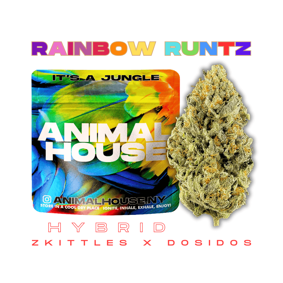 Rainbow Runtz
