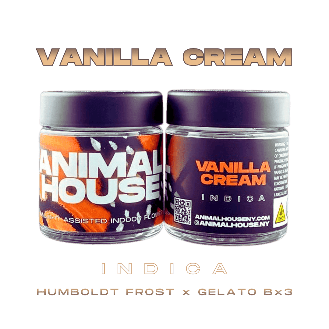 Vanilla Cream