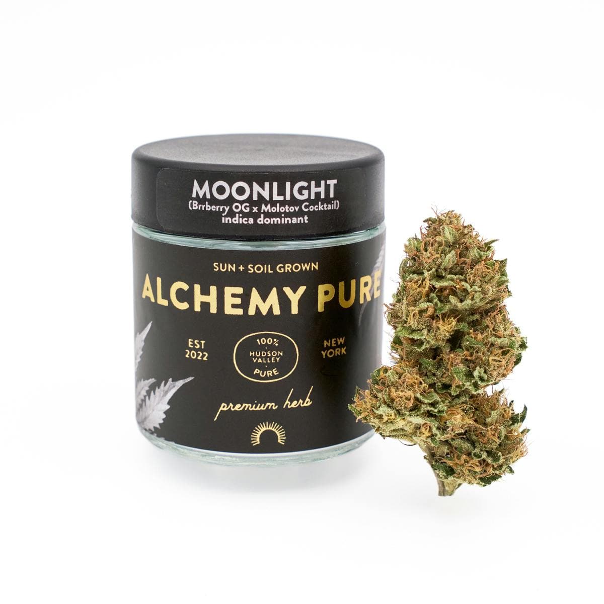 Moonlight Jar