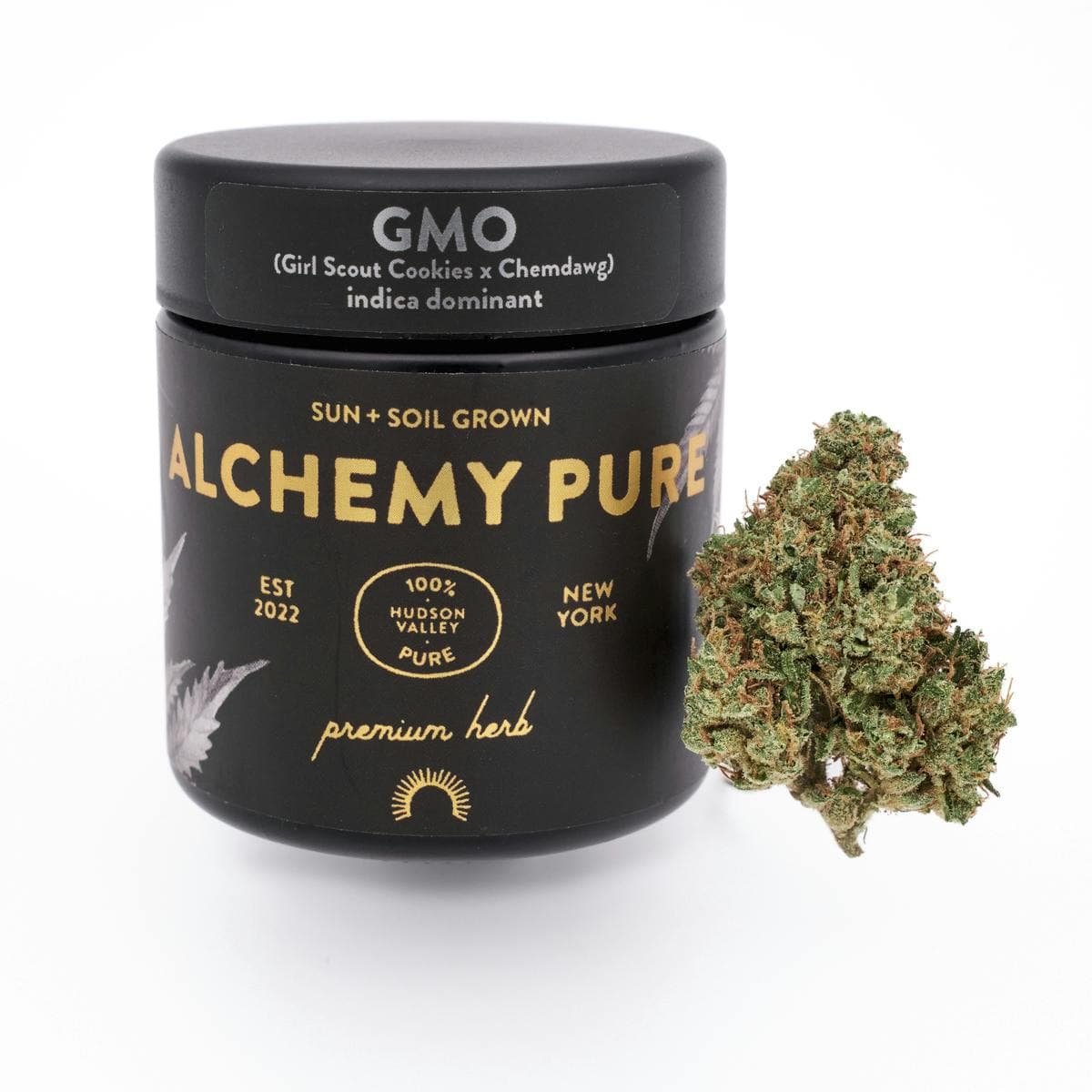 Gmo Jar
