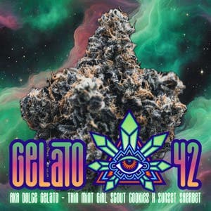 Gelato Bulk Flower