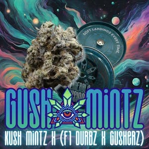 Gush Mintz
