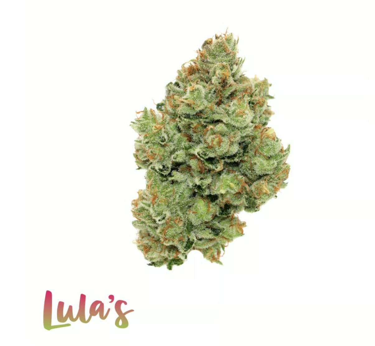 Lula Escape Smalls
