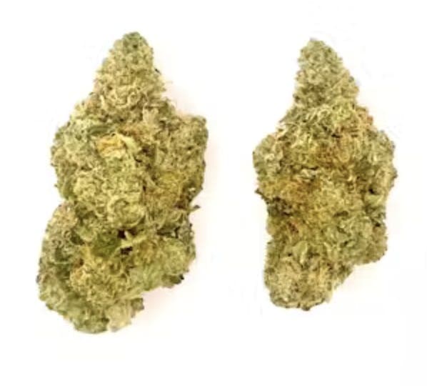Buds Face Off