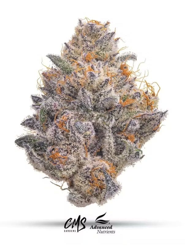 Cherrylicious Flower