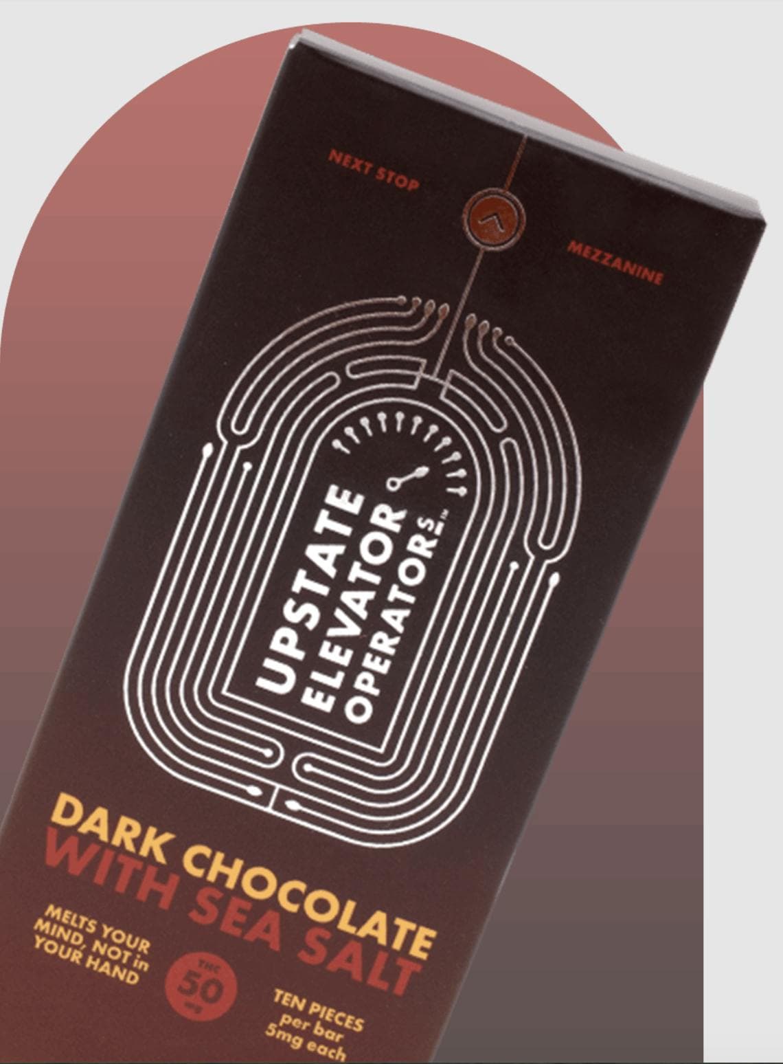 Dark Chocolate Sea Salt Chocolate