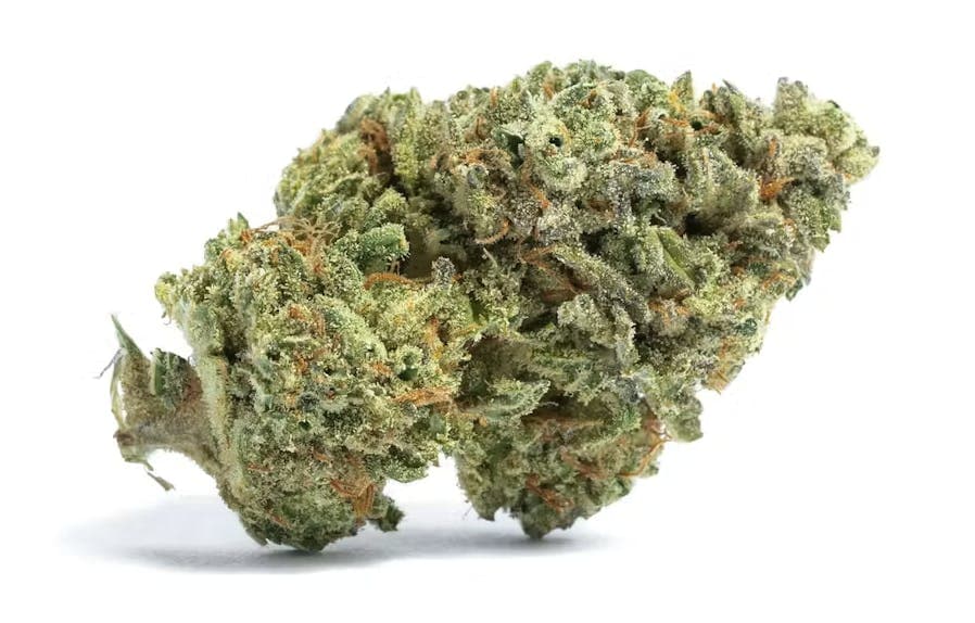 Tk Lato Zkittlez Cake Flower