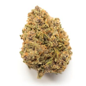 King Louis Xiii Og Big