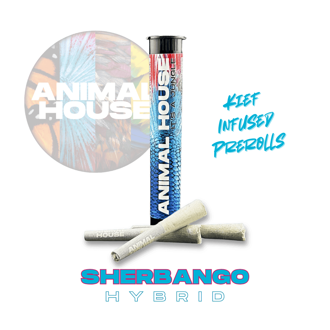 Sherbango Infused Minis 3pk