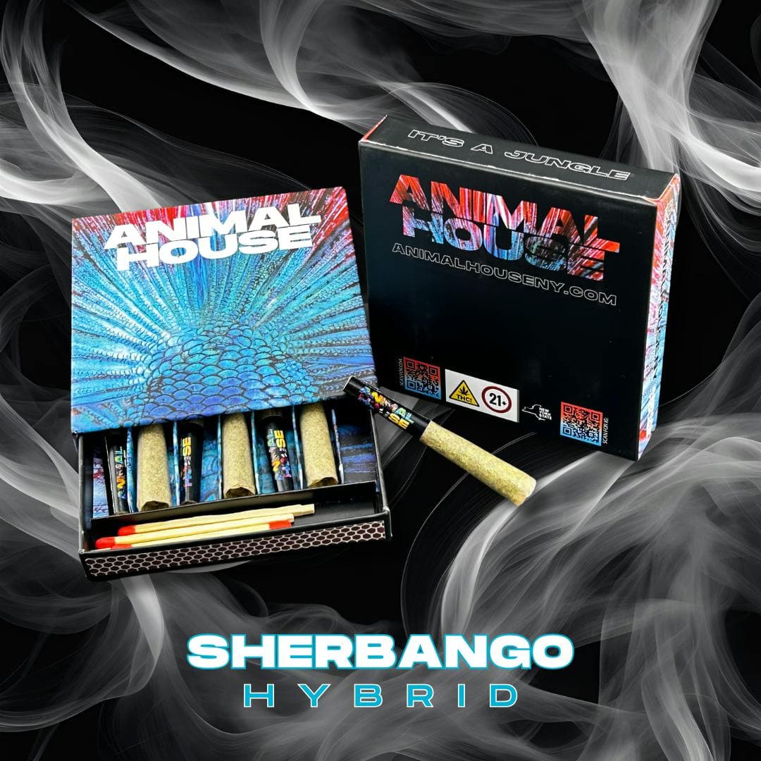 Sherbango Infused Minis 7pk