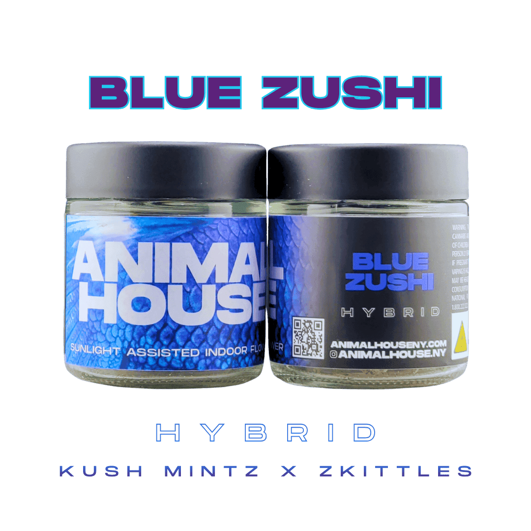 Blue Zushi