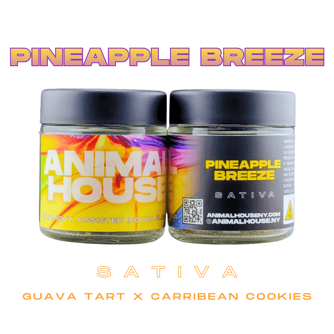Pineapple Breeze