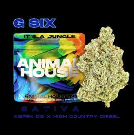 G6 Big Buds