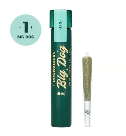 Banana Cream Pre-Roll | 1g