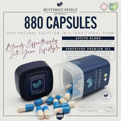 Capsules 20pk [880mg]