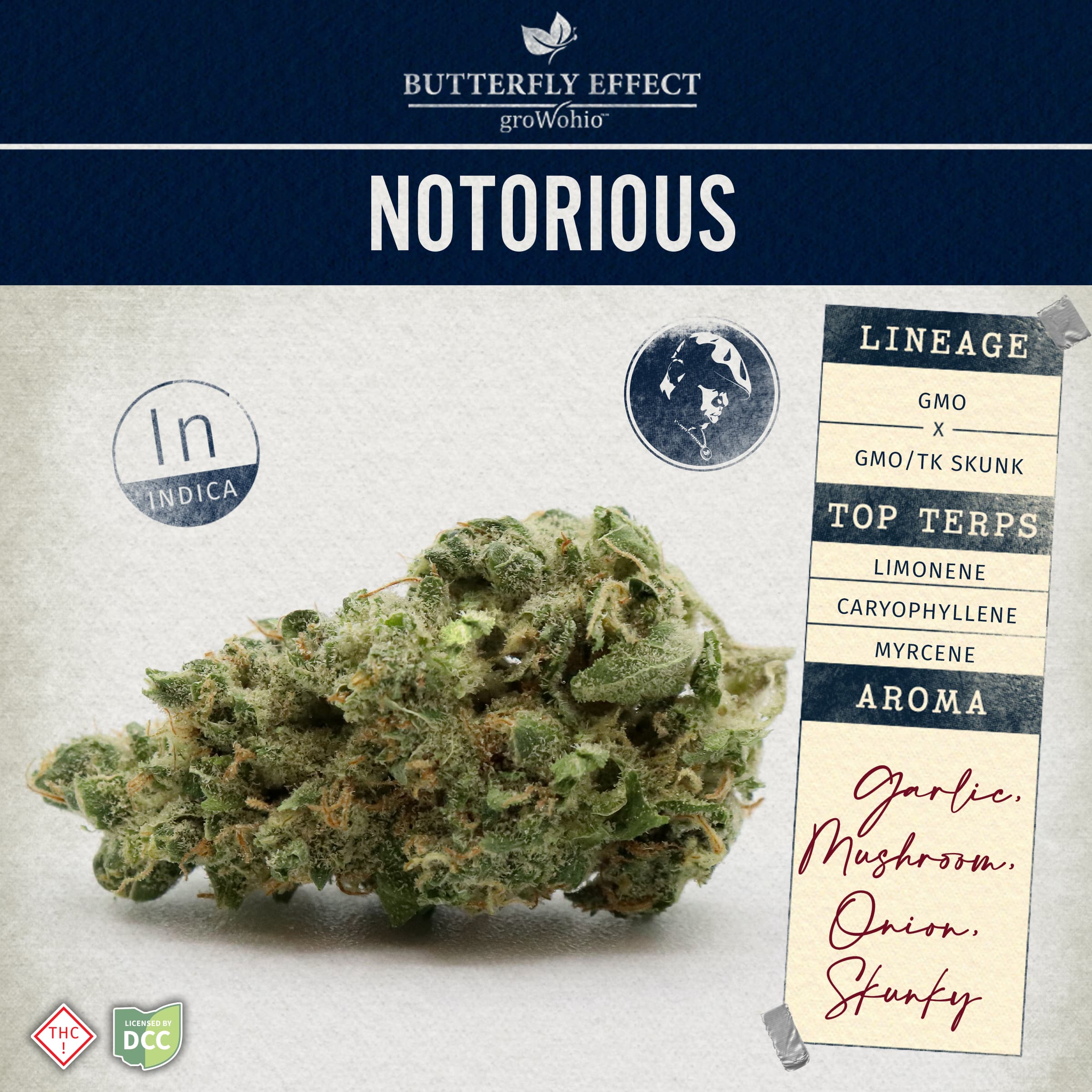 Notorious | Smalls | 14.15g