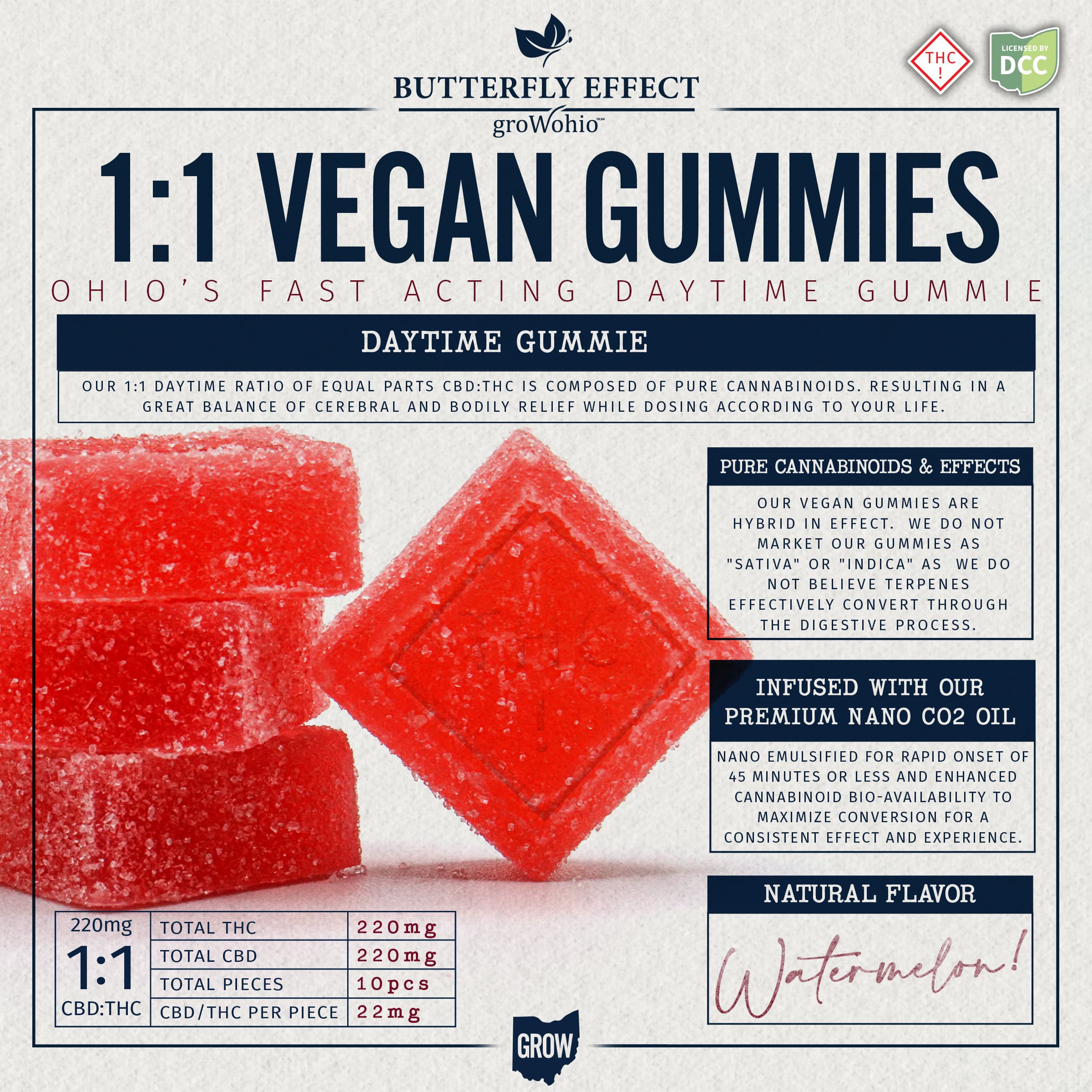 Watermelon 1:1 CBD [220mg] - Vegan Gummies