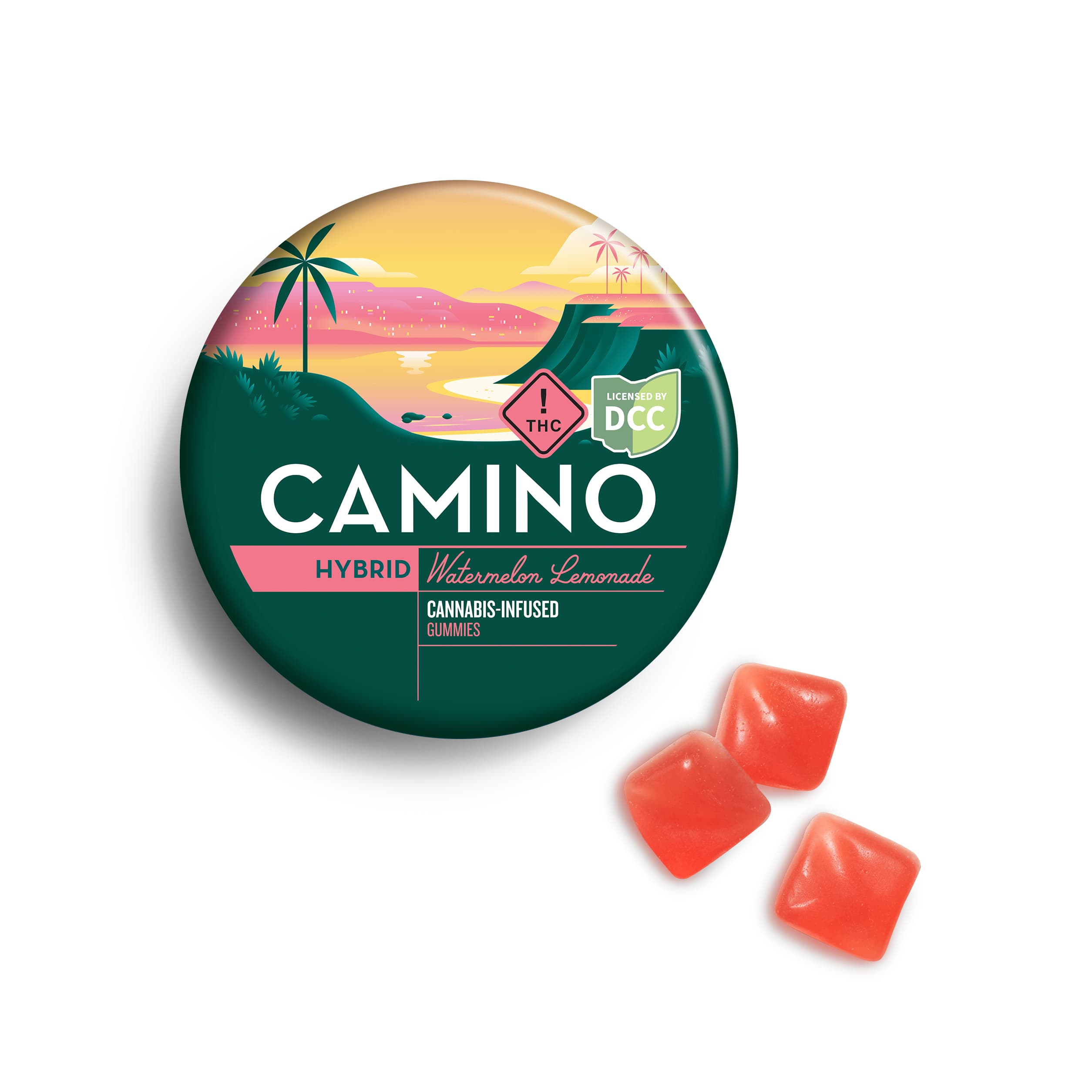 Watermelon Lemonade Gummies 20pk - 1021312