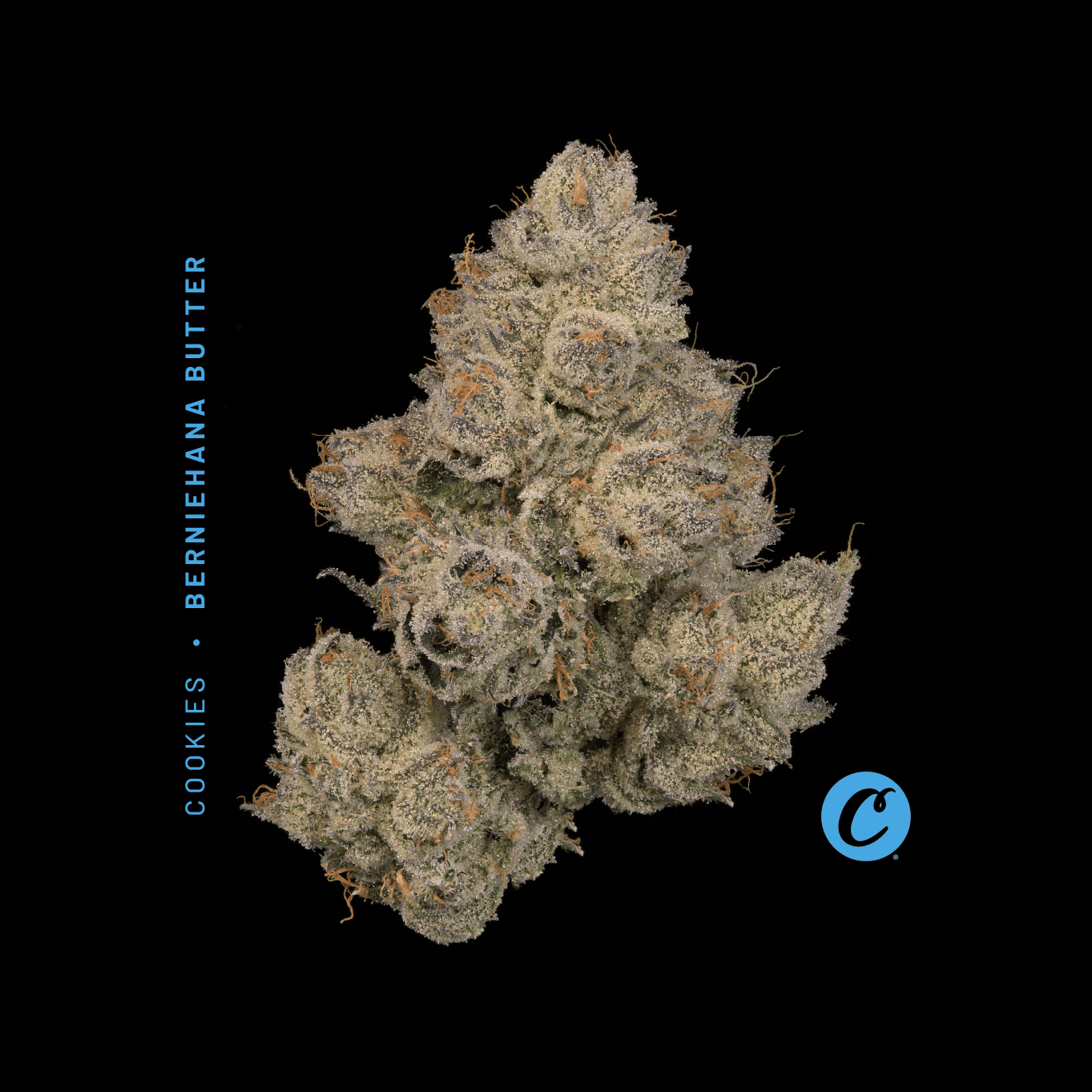 Berniehana Butter | Flower 14.15