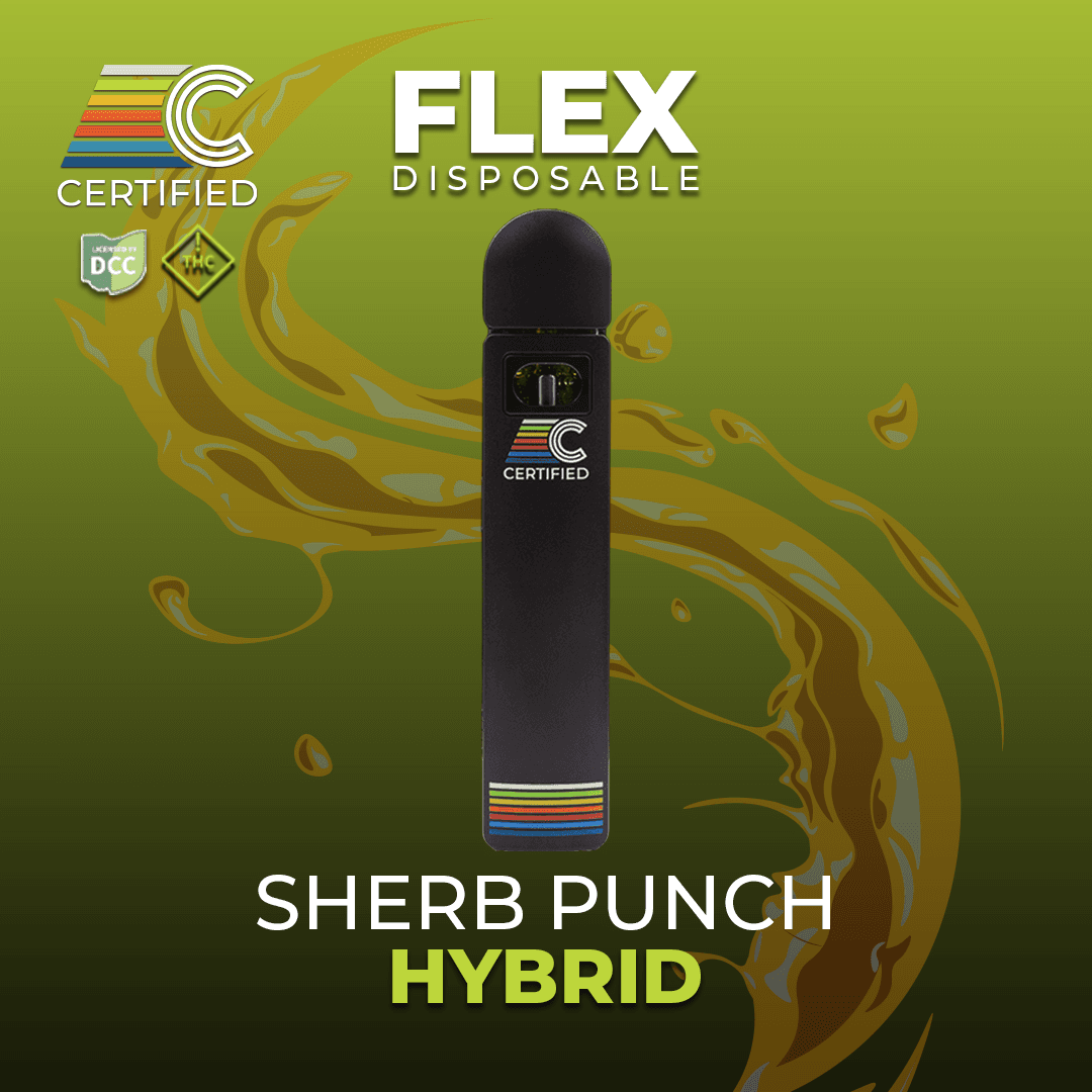 Sherb Punch | Flex Disposable 1g