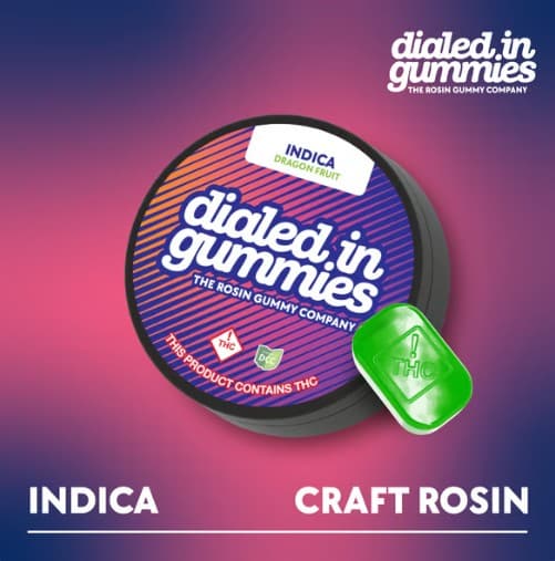 Dragon Fruit | Indica Rosin Gummies | 10PK | 100mg