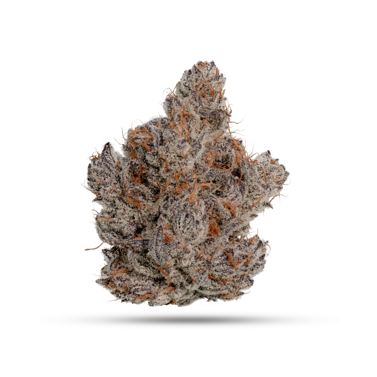 Blockberry Flower